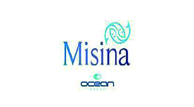 misina-x1 misina-x1