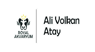 royal-akvaryum-ali-volkan-atay-x1 royal-akvaryum-ali-volkan-atay-x1