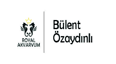 royal-akvaryum-bulent-ozaydınlı-x1 royal-akvaryum-bulent-ozaydınlı-x1