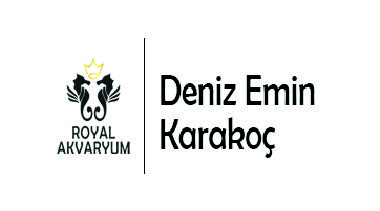 royal-akvaryum-deniz-emin-karakoc-x1 royal-akvaryum-deniz-emin-karakoc-x1