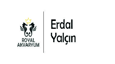 royal-akvaryum-erdal-yalcin-x1 royal-akvaryum-erdal-yalcin-x1