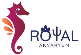 royal-akvaryum-logo