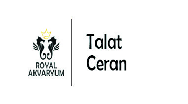 royal-akvaryum-telat-ceran-x1 royal-akvaryum-telat-ceran-x1